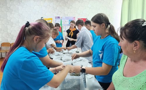 Волонтёры из Егоркина: чай для бойцов и чистота на улицах