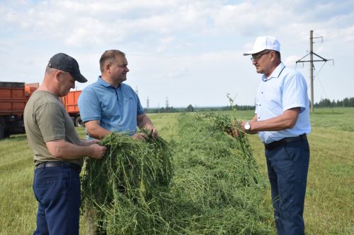 Нурлат районының 14нче Агрофирмасында азык әзерләү эшләре бара