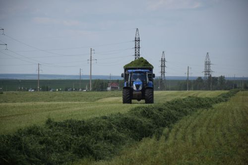 Нурлат районының 14нче Агрофирмасында азык әзерләү эшләре бара