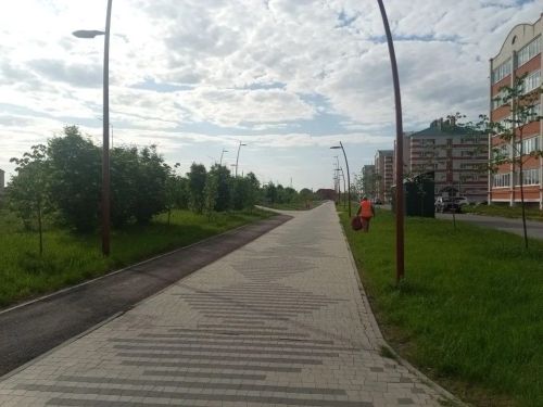 В Нурлатском районе завершился экологический двухмесячник: вывезено почти 2800 тонн мусора