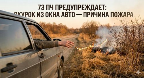 73 ПЧ предупреждает: окурок из окна авто — причина пожара