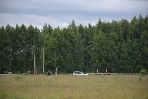 Главный приз главы на Сабантуе Нурлата завоевал Липтон из «Нурлат-Агро»