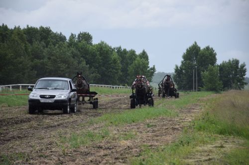 Главный приз главы на Сабантуе Нурлата завоевал Липтон из «Нурлат-Агро»