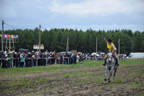 Главный приз главы на Сабантуе Нурлата завоевал Липтон из «Нурлат-Агро»