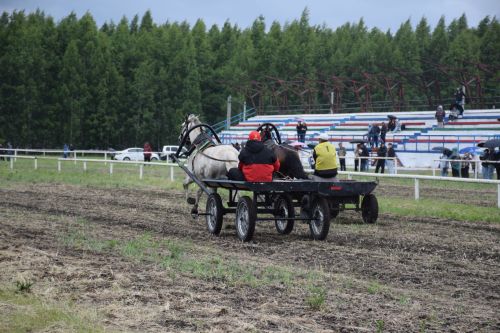 Главный приз главы на Сабантуе Нурлата завоевал Липтон из «Нурлат-Агро»