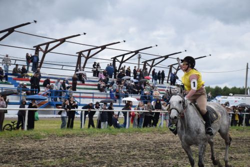 Главный приз главы на Сабантуе Нурлата завоевал Липтон из «Нурлат-Агро»