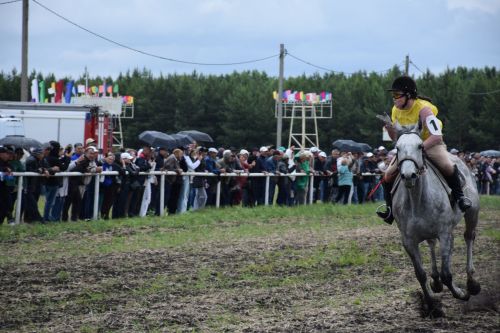 Главный приз главы на Сабантуе Нурлата завоевал Липтон из «Нурлат-Агро»