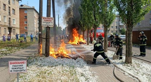 Тополиный пух: не романтика, а реальная угроза пожаров