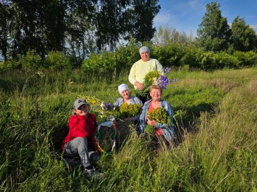 Нурлатның көмеш волонтерлары сугышчылар өчен үлән чәйләре әзерли