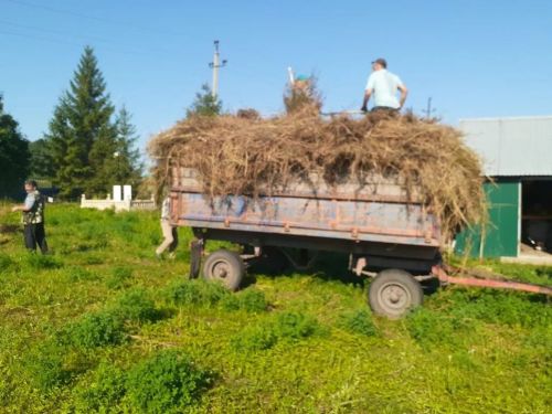 В ТОСе «Курмышский» продолжаются летние субботники