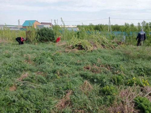 Летний субботник в Нурлате: в Верхнем Нурлате привели в порядок кладбище
