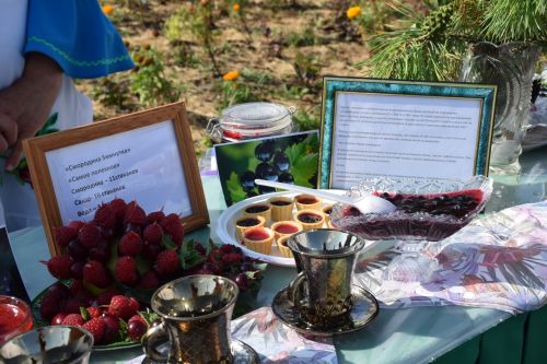 Тепло, душевно и со вкусом: в Нурлате с размахом прошел фестиваль «КАЙНАтма»