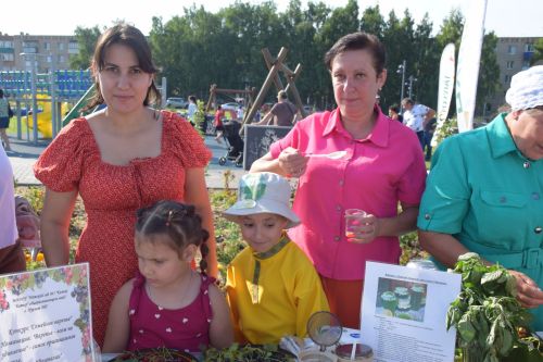 Тепло, душевно и со вкусом: в Нурлате с размахом прошел фестиваль «КАЙНАтма»