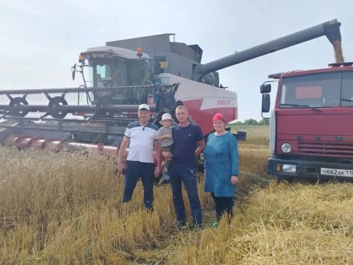 Светлое Озеро начало уборочную страду озимой пшеницы