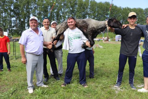 Главный батыр из Курманаево получил в награду барана и теленка