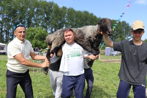 Главный батыр из Курманаево получил в награду барана и теленка
