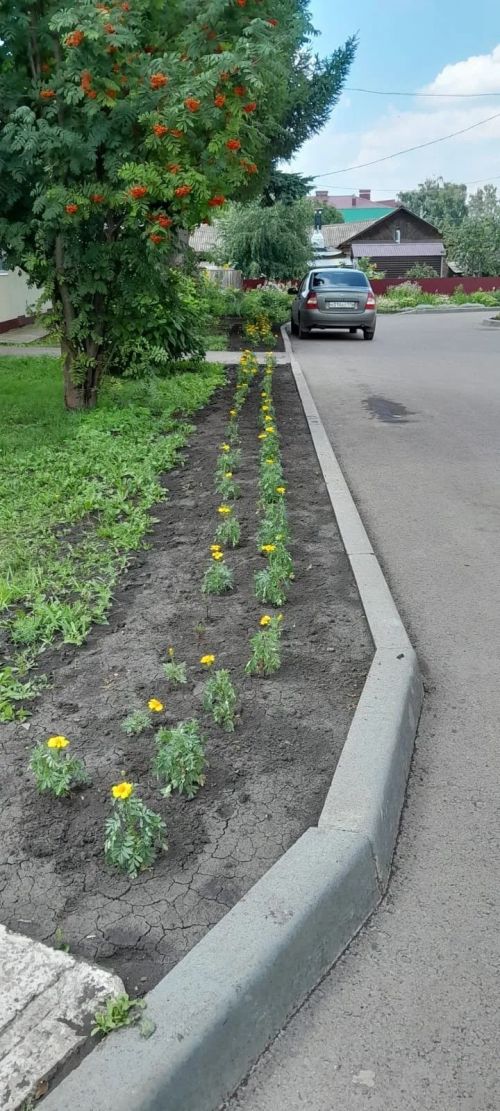В Нурлате на улице Советской появился настоящий оазис