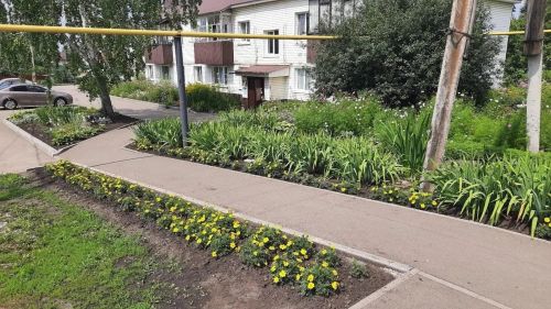 В Нурлате на улице Советской появился настоящий оазис