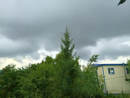 МЧС предупреждает о ливнях и шквале до 24 м/с в Нурлате в четверг