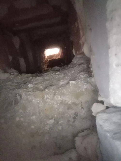 Голубь в дымоходе стал причиной отравления угарным газом семьи в Нурлате