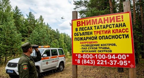 В лесах Татарстана объявлен третий класс пожарной опасности