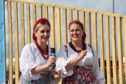 В Нурлате прошел праздник «Корни и крылья»