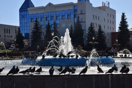 Нурлат ветеринарлары «Грипп, тукта» профилактик айлыгына кушылды