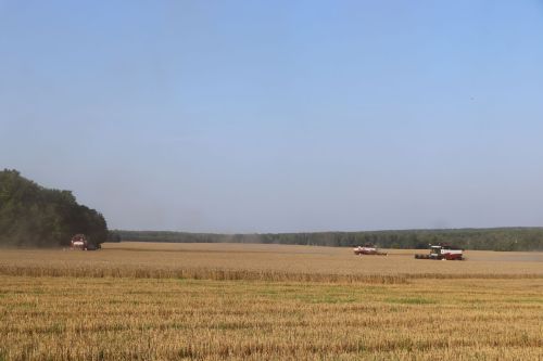 День военного медика и Успение: праздники 28 августа