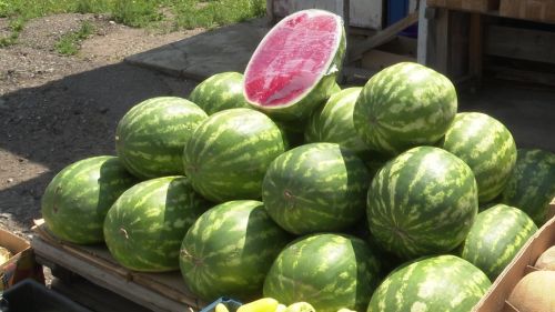 Эксперты Роскачества назвали главные признаки опасного арбуза