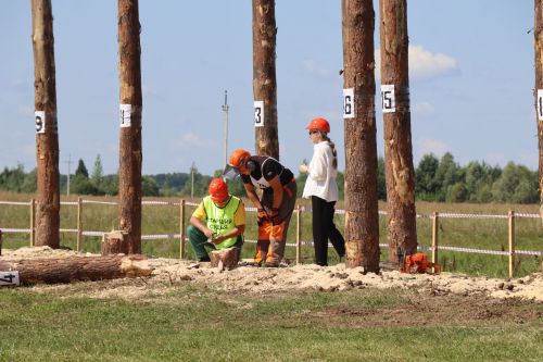 Лучшие лесорубы Татарстана соревнуются в Нурлатском районе