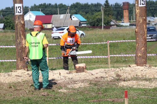 Лучшие лесорубы Татарстана соревнуются в Нурлатском районе