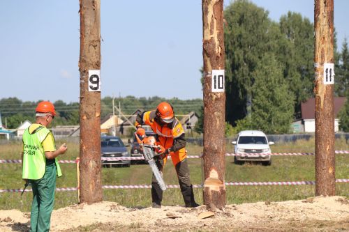 Лучшие лесорубы Татарстана соревнуются в Нурлатском районе