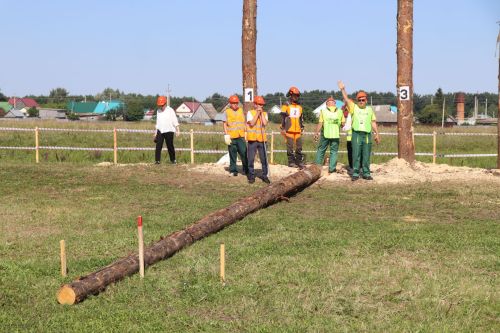 Лучшие лесорубы Татарстана соревнуются в Нурлатском районе
