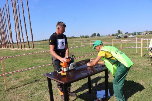 Лучшие лесорубы Татарстана соревнуются в Нурлатском районе