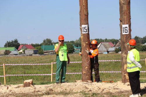 Лучшие лесорубы Татарстана соревнуются в Нурлатском районе