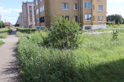 Косить или штрафовать: в Нурлате проверили зарастающие улицы