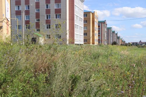 Косить или штрафовать: в Нурлате проверили зарастающие улицы