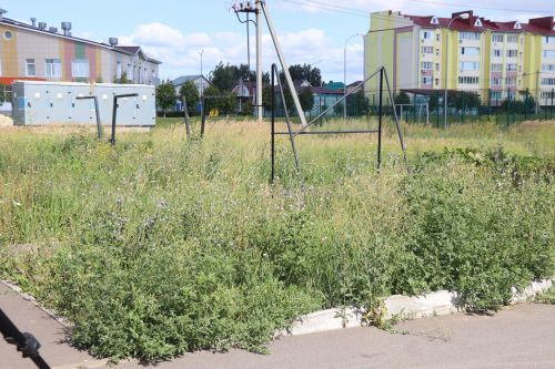 Косить или штрафовать: в Нурлате проверили зарастающие улицы