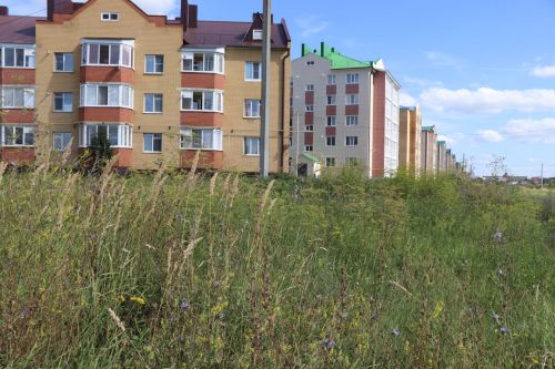 Косить или штрафовать: в Нурлате проверили зарастающие улицы
