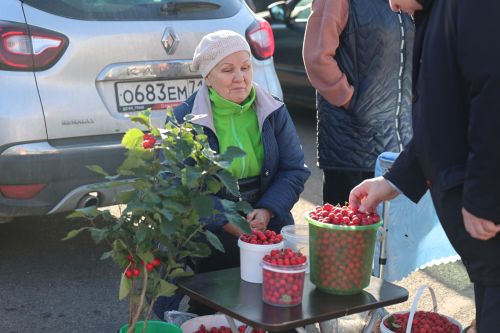 Первая осенняя ярмарка в Нурлате совпала со вторым днем выборов