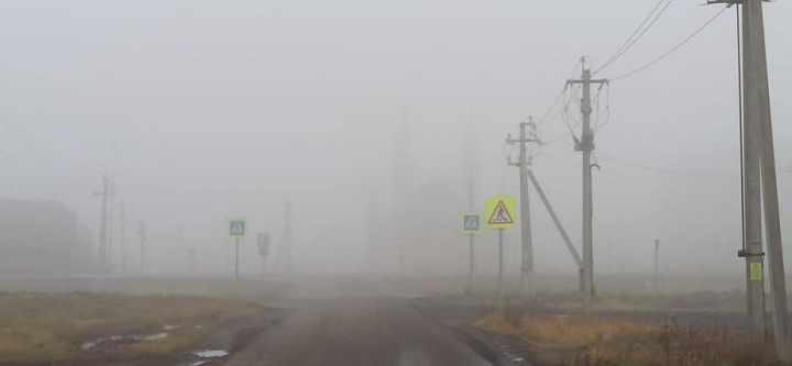 Осторожно, туман и гололедица!