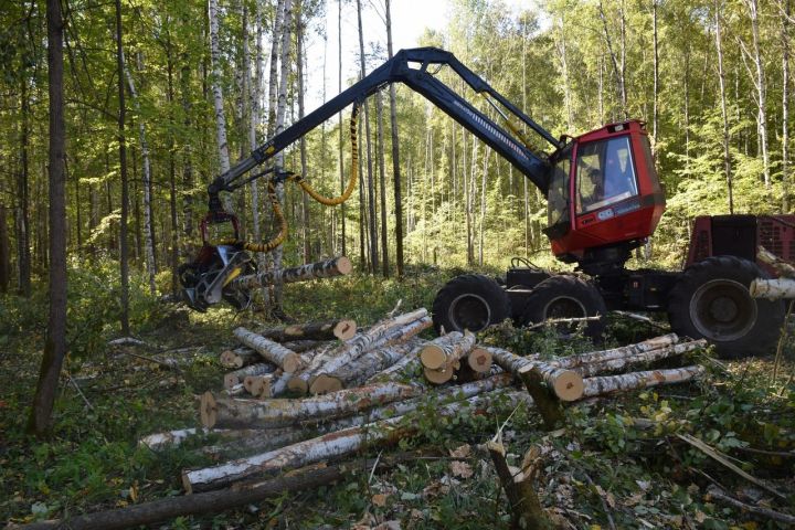 Заготовка древесины для Нурлатского лесхоза остается главной задачей
