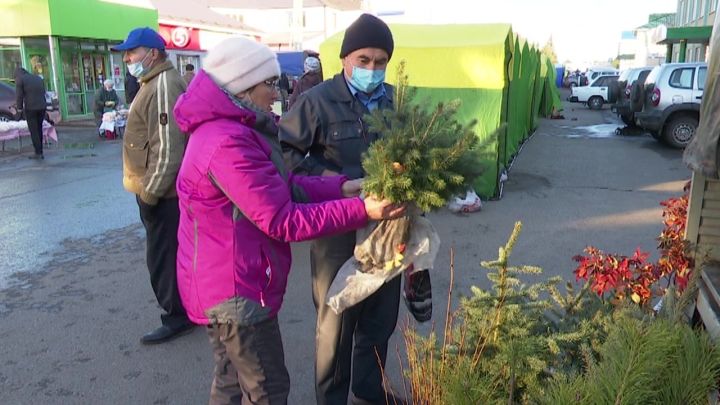 В Нурлате прошла сельскохозяйственная ярмарка