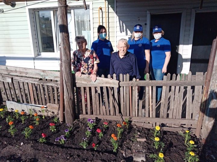 Нежные бархатцы и разноцветные петунии будут украшать сад семьи ветеранов Клементьевых все лето