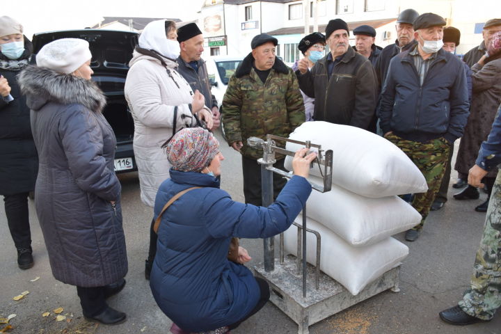 Широкий ассортимент сезонной продукции представили на сельскохозяйственной ярмарке в Нурлате