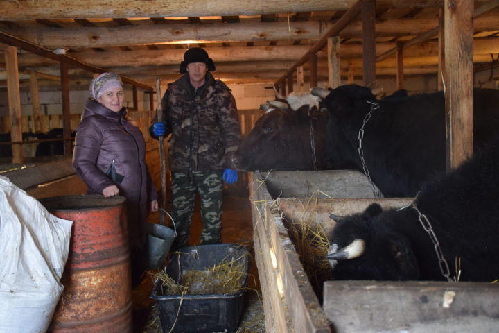 Кривоозерцы Киямовы клички своим подопечным коровам выбирают с особым смыслом