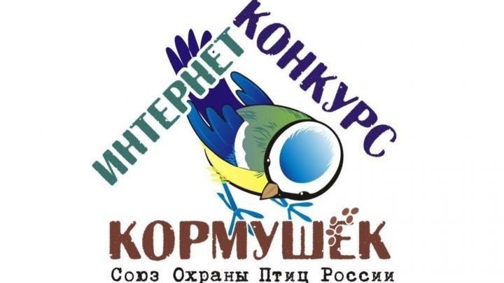 Жители Нурлата могут принять участие в конкурсе кормушек для птиц