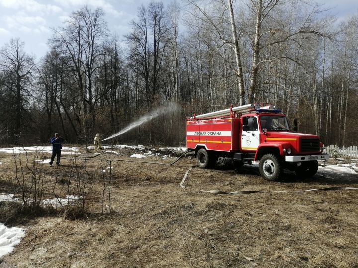 В Нурлатском районе прошли учения по тактике и технике тушения условного лесного пожара