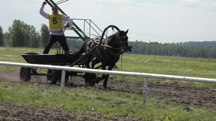 Сабантуй славен спортивными состязаниями