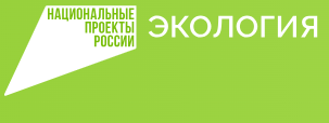 Татарстан присоединился к всероссийскому экологичному челленджу «БумБатл»